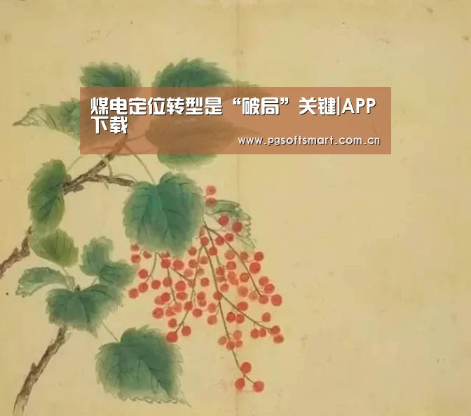 APP下载
