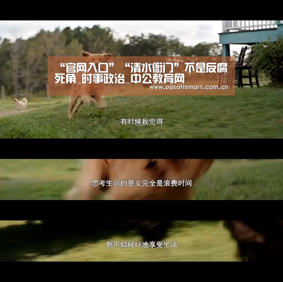 官网入口