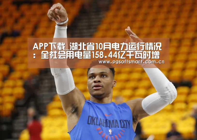APP下载