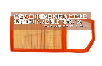 官网入口|中国6月规模以上工业企业利润6019.2亿同比下降3.1%(图2) APP下载