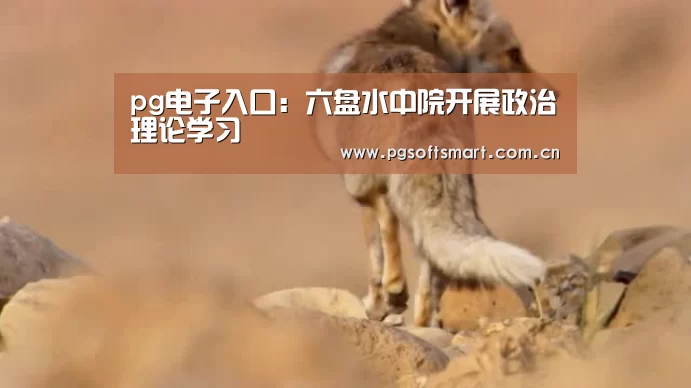 官网入口