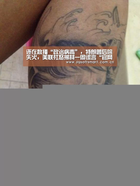 官网入口