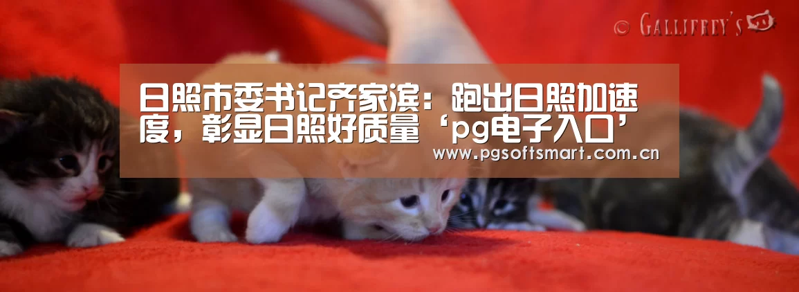 日照市委书记齐家滨:跑出日照加速度,彰显日照好质量‘pg电子入口’(图4) pg电子入口