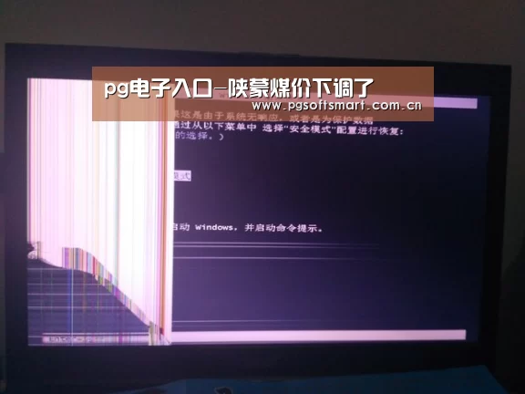 pg电子入口-陕蒙煤价下调了(图1) 模拟器游戏