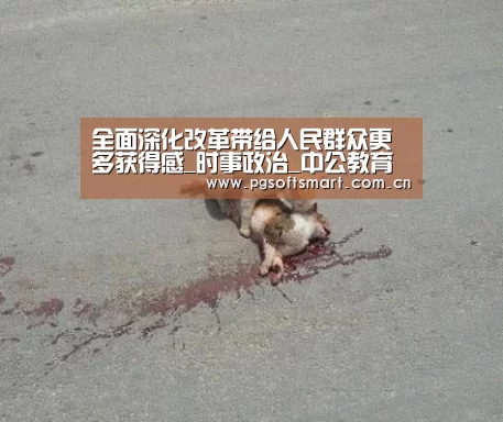 官网入口